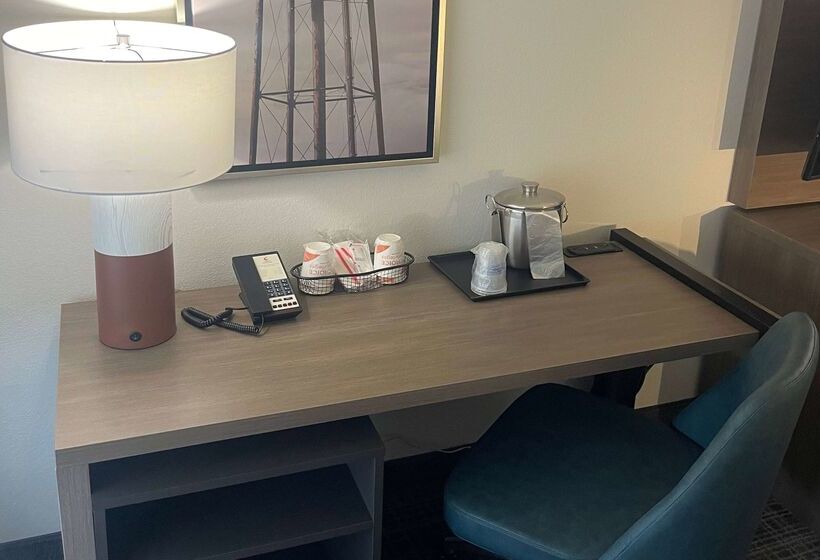 酒店 Comfort Inn & Suites New Iberia Avery Island