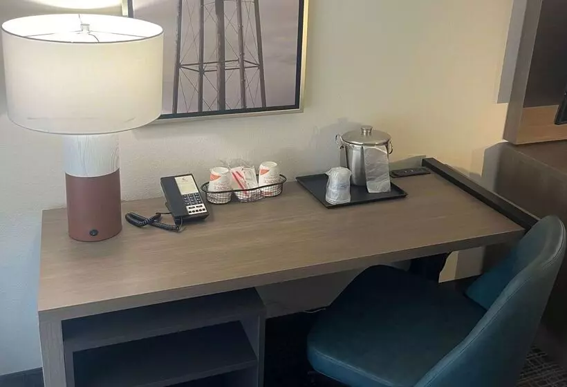 酒店 Comfort Inn & Suites New Iberia   Avery Island