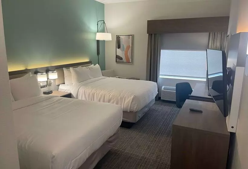 酒店 Comfort Inn & Suites New Iberia   Avery Island