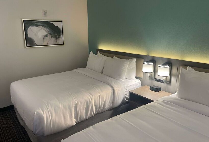 酒店 Comfort Inn & Suites New Iberia Avery Island