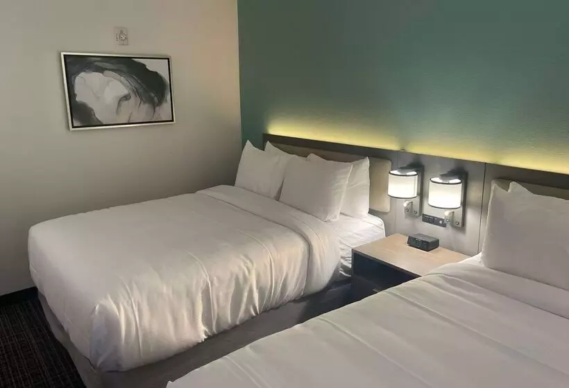 酒店 Comfort Inn & Suites New Iberia   Avery Island