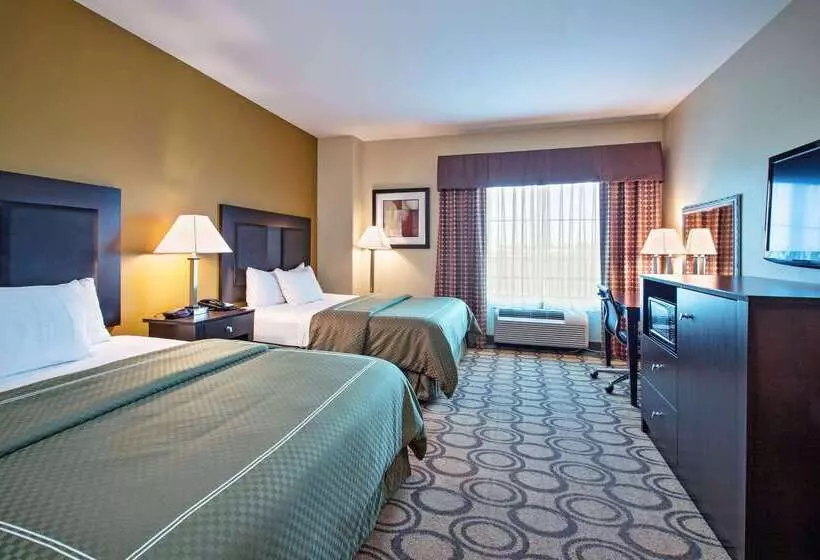 酒店 Comfort Inn & Suites New Iberia   Avery Island