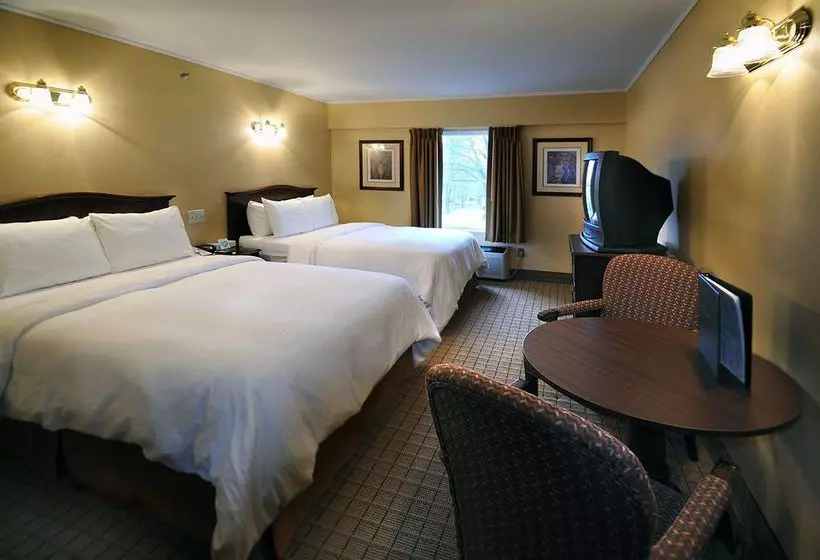 酒店 University Inn