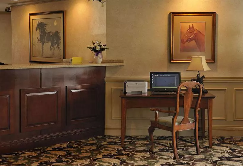 酒店 University Inn