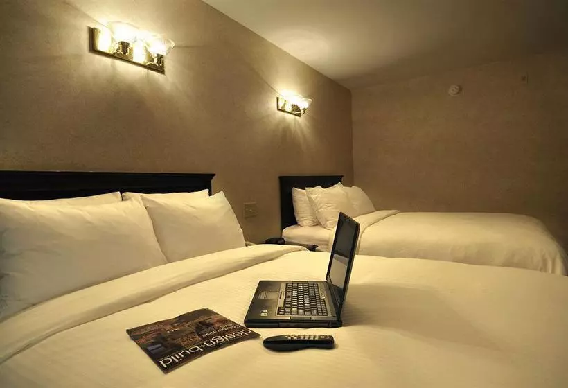 酒店 University Inn