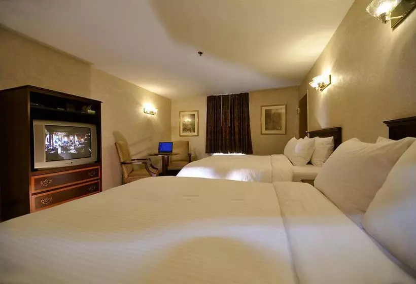 酒店 University Inn