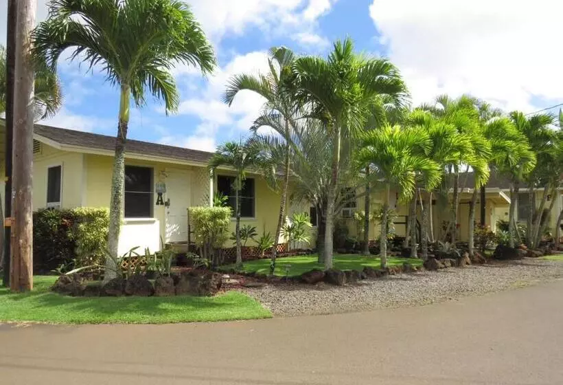 Kauai Palms