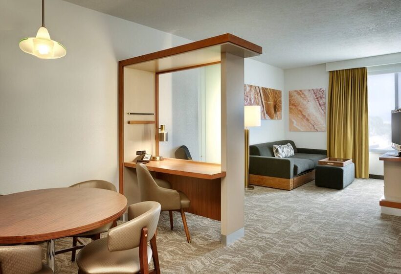 Springhill Suites By Marriott Vernal