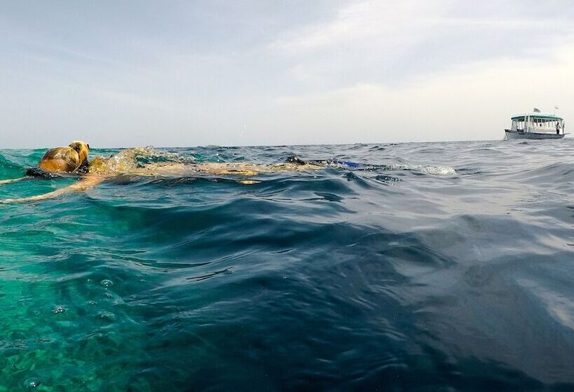 Filitheyo Island Resort