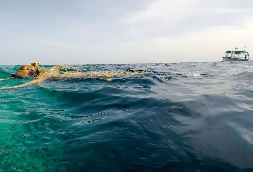 Filitheyo Island Resort