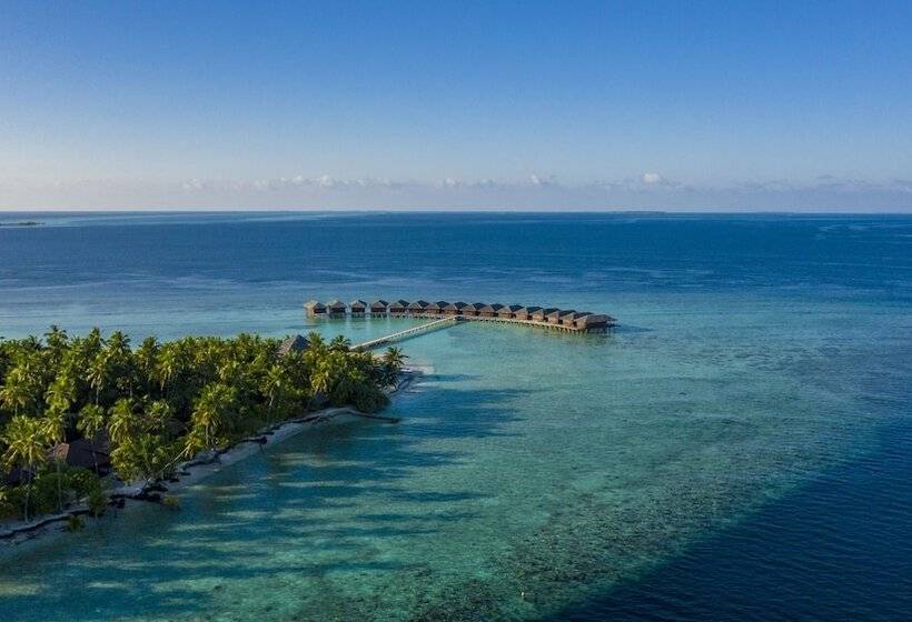 Filitheyo Island Resort