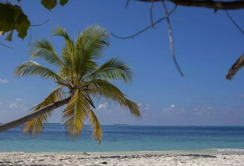 Filitheyo Island Resort