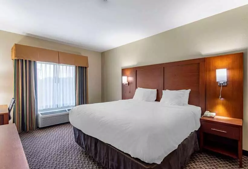 酒店 Comfort Inn & Suites Carbondale University Area