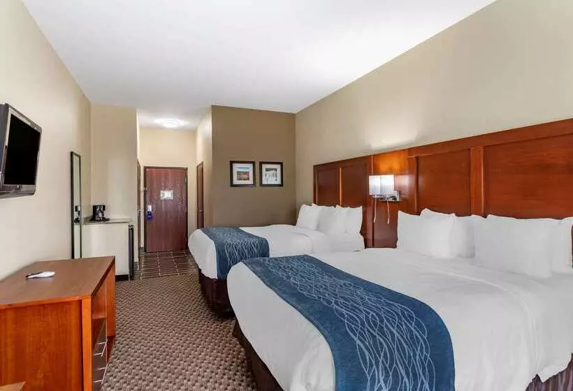 酒店 Comfort Inn & Suites Carbondale University Area