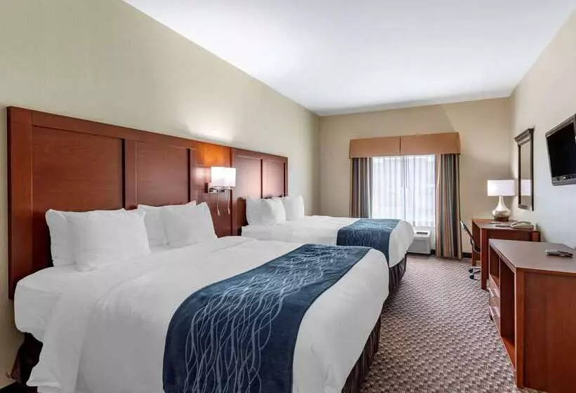 酒店 Comfort Inn & Suites Carbondale University Area