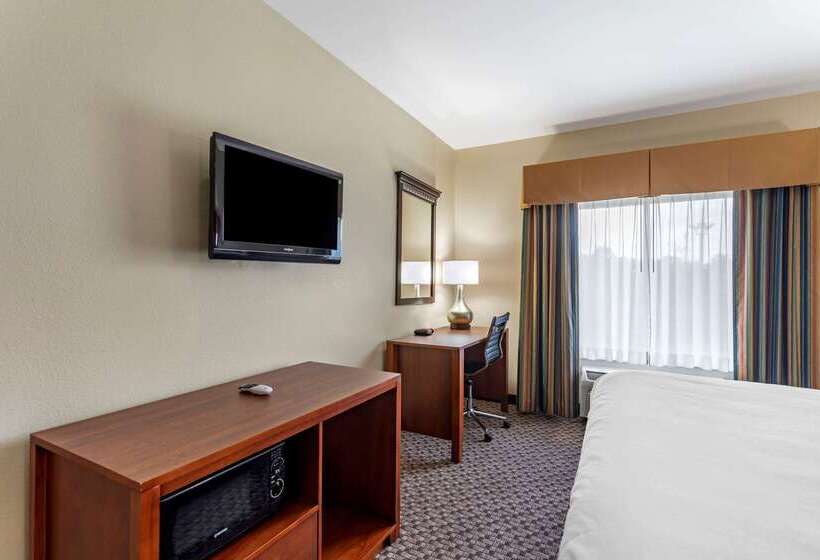 ホテル Comfort Inn & Suites Carbondale University Area