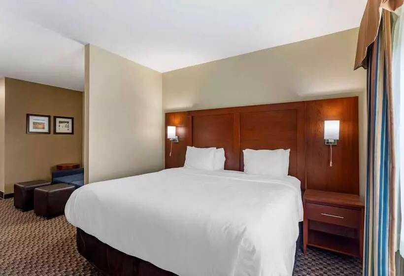 酒店 Comfort Inn & Suites Carbondale University Area