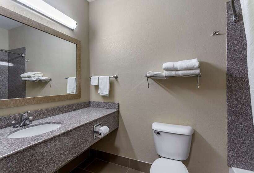 ホテル Comfort Inn & Suites Carbondale University Area