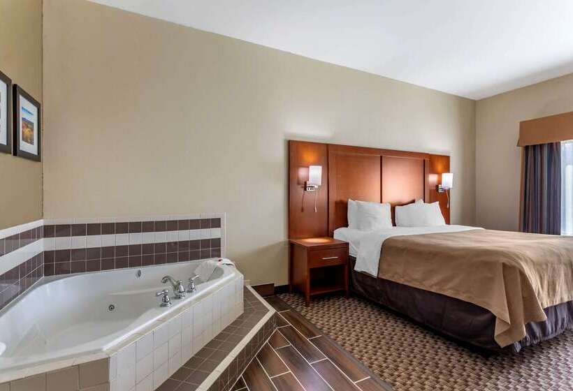 ホテル Comfort Inn & Suites Carbondale University Area