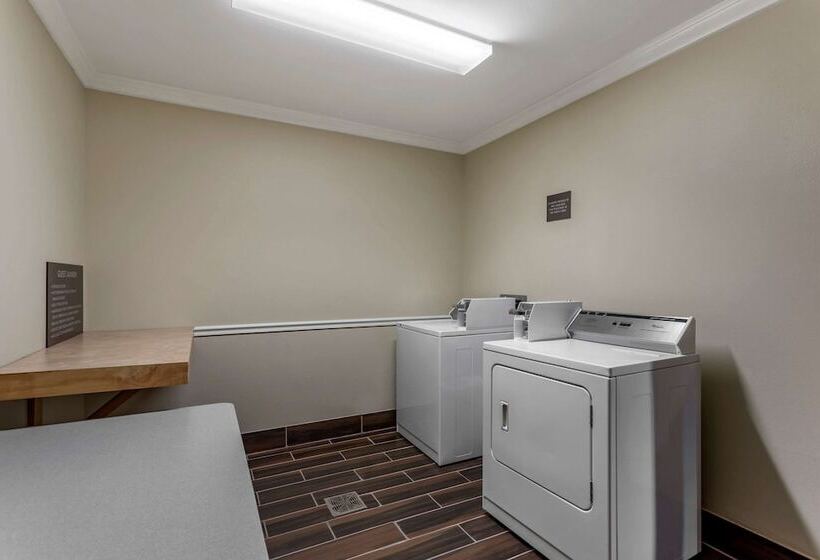 ホテル Comfort Inn & Suites Carbondale University Area