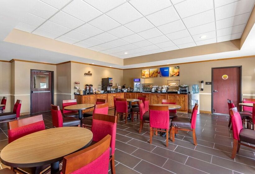 ホテル Comfort Inn & Suites Carbondale University Area