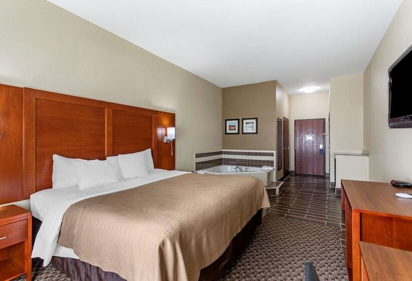 ホテル Comfort Inn & Suites Carbondale University Area