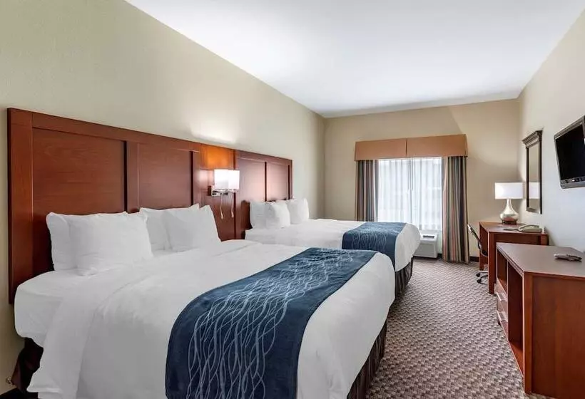 酒店 Comfort Inn & Suites Carbondale University Area
