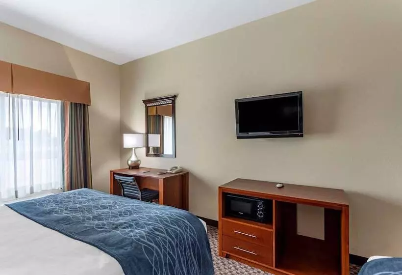 酒店 Comfort Inn & Suites Carbondale University Area