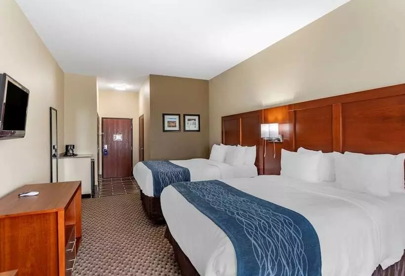 酒店 Comfort Inn & Suites Carbondale University Area