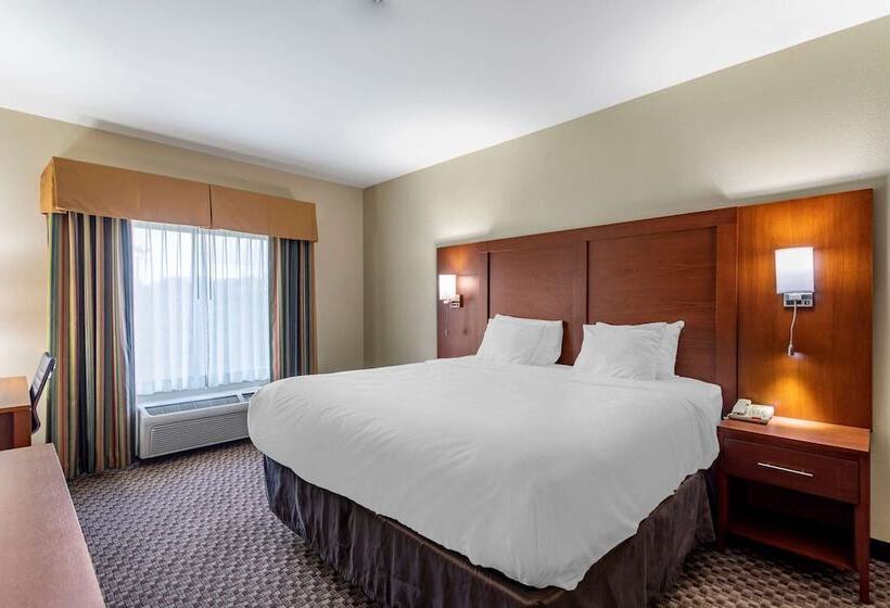 ホテル Comfort Inn & Suites Carbondale University Area