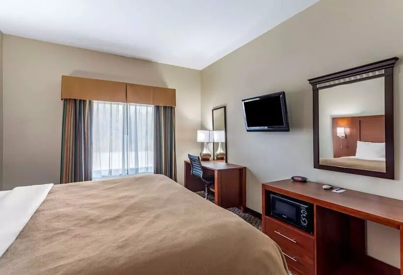 酒店 Comfort Inn & Suites Carbondale University Area