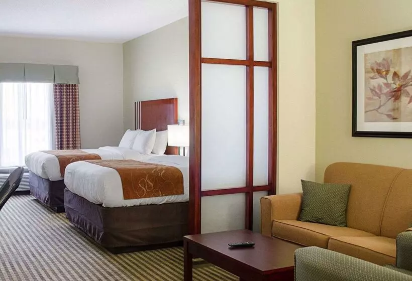 ホテル Comfort Suites