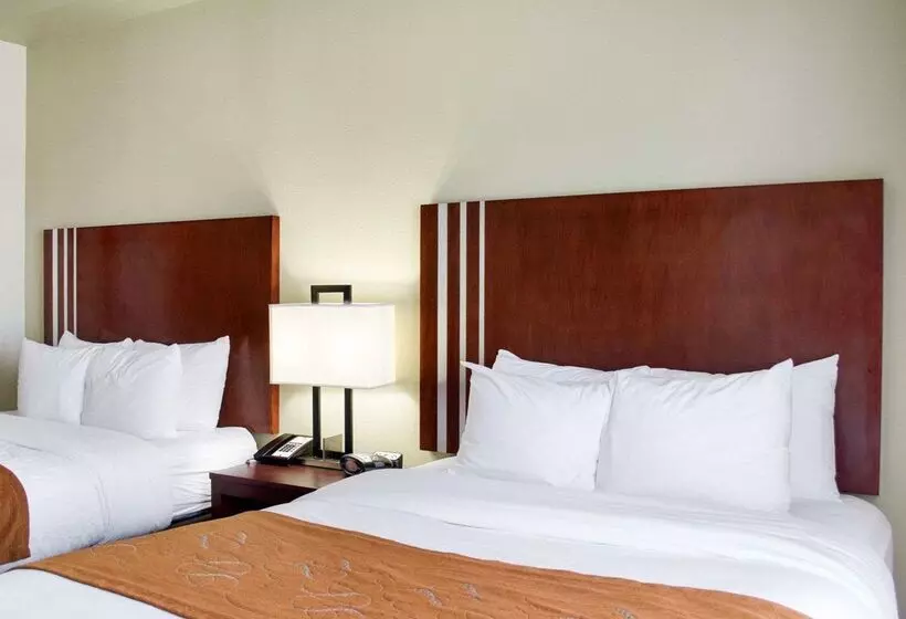 ホテル Comfort Suites