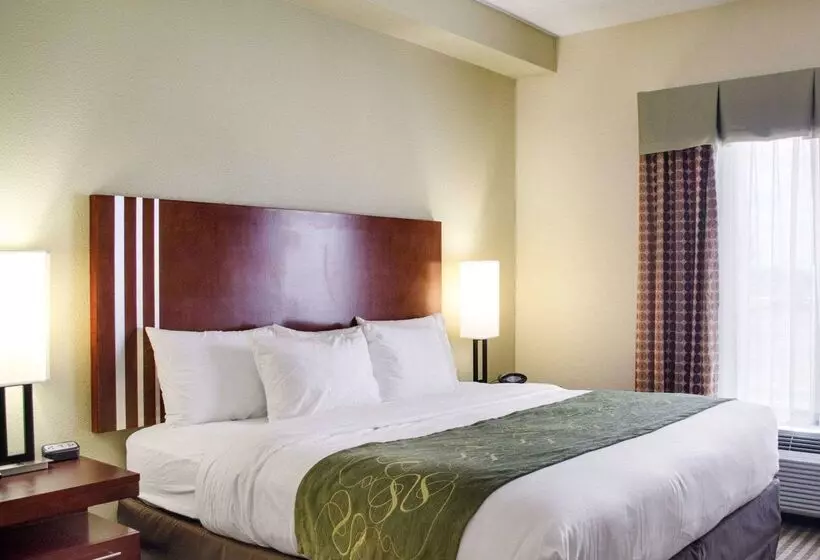 ホテル Comfort Suites