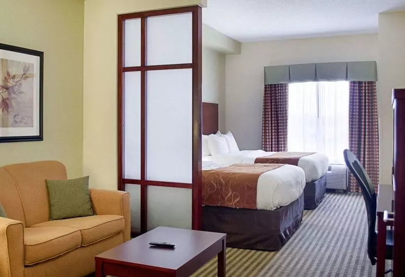 ホテル Comfort Suites