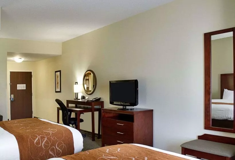 ホテル Comfort Suites