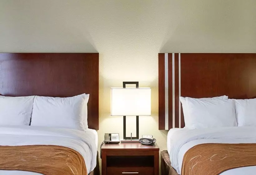 ホテル Comfort Suites