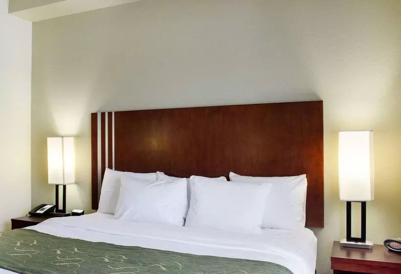 ホテル Comfort Suites