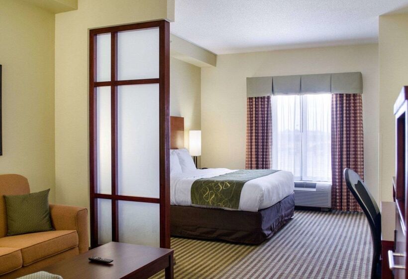 Отель Comfort Suites