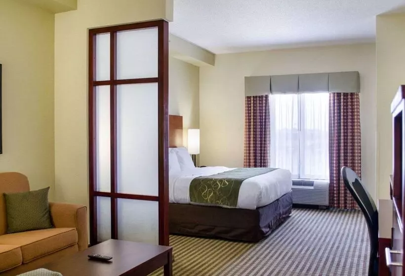 ホテル Comfort Suites