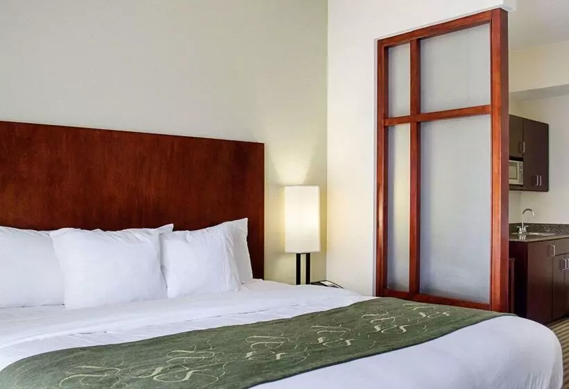 ホテル Comfort Suites