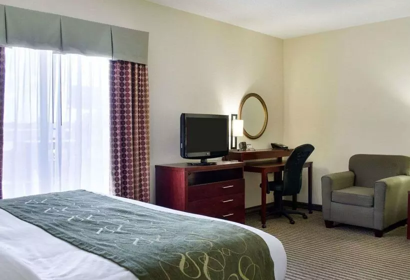 ホテル Comfort Suites