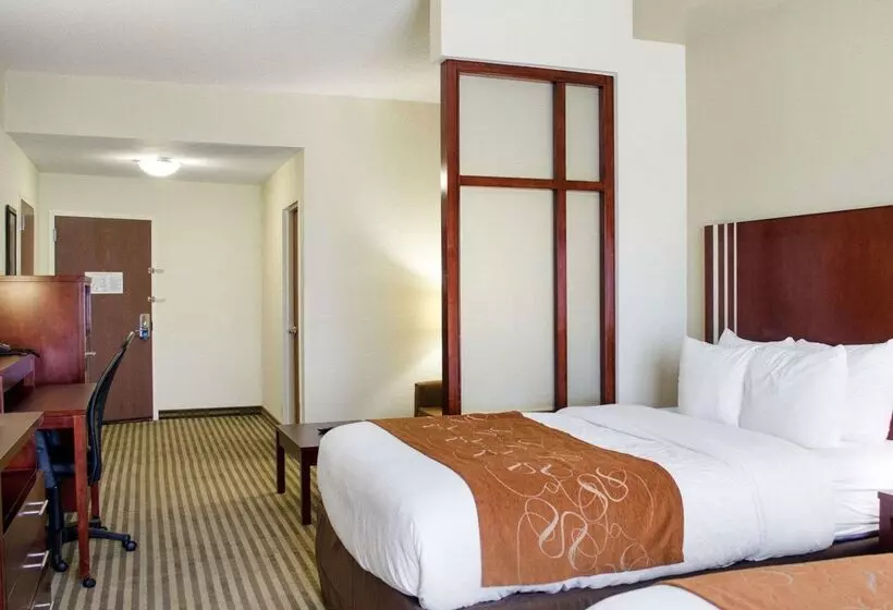 ホテル Comfort Suites