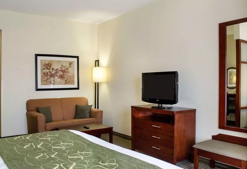 ホテル Comfort Suites