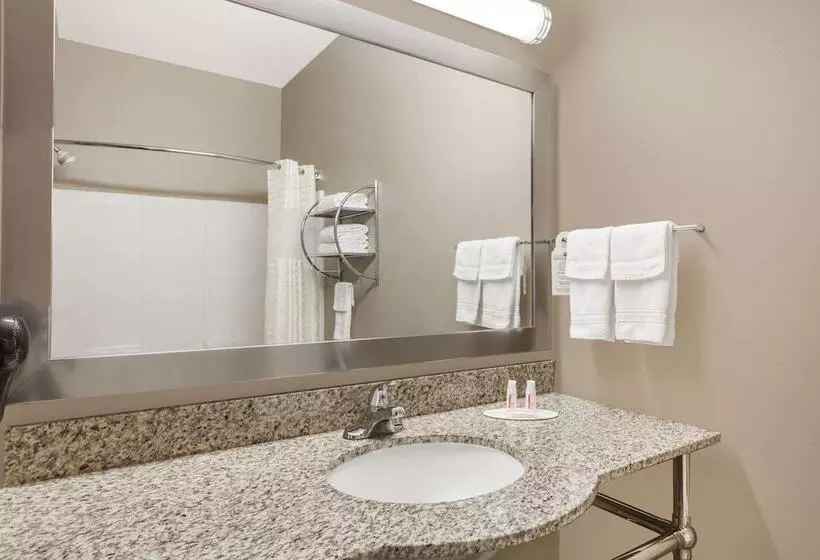 ホテル Days Inn & Suites By Wyndham Marquez