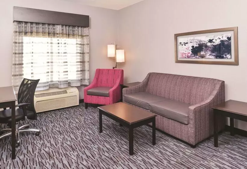 酒店 La Quinta By Wyndham Abilene Mall