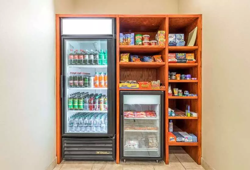 酒店 Ramada By Wyndham College Station