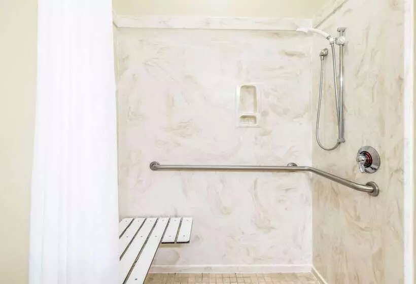 酒店 Ramada By Wyndham College Station