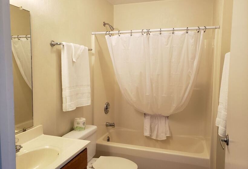 ホテル Affordable Suites Conover / Hickory