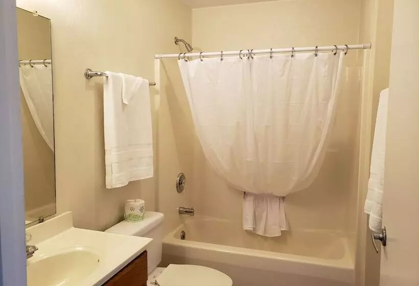 ホテル Affordable Suites Conover / Hickory